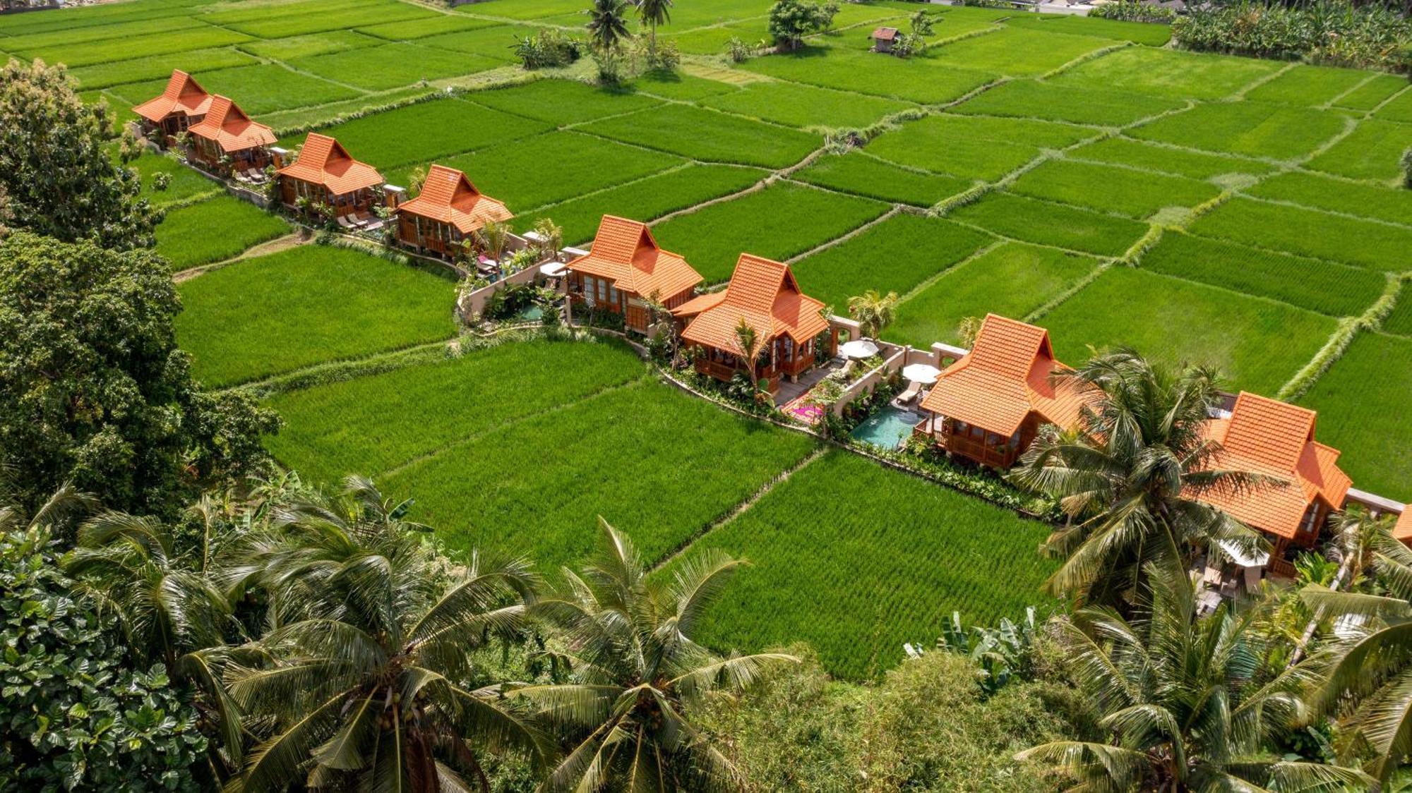 The Kalyana Ubud Resort Eksteriør bilde